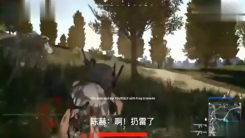 陈赫鹿晗爆料视频在线观看,揭秘娱乐圈幕后真相