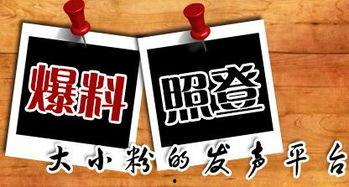 北碚新闻爆料电话,聚焦民生动态