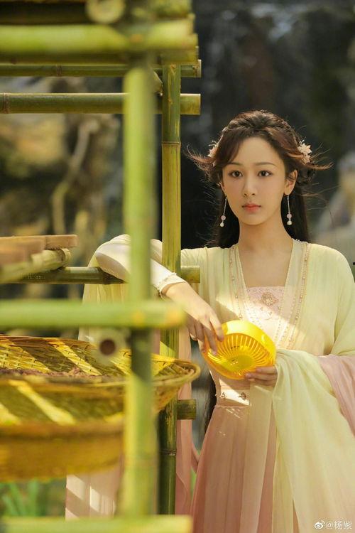 成毅杨紫最新爆料图片,甜蜜互动引粉丝尖叫，幕后故事揭秘