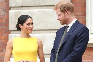 梅根爆料行礼视频大全集,揭秘王室礼仪背后的真相