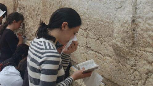 娱乐圈的吃瓜人叫什么,幕后真相与八卦风云